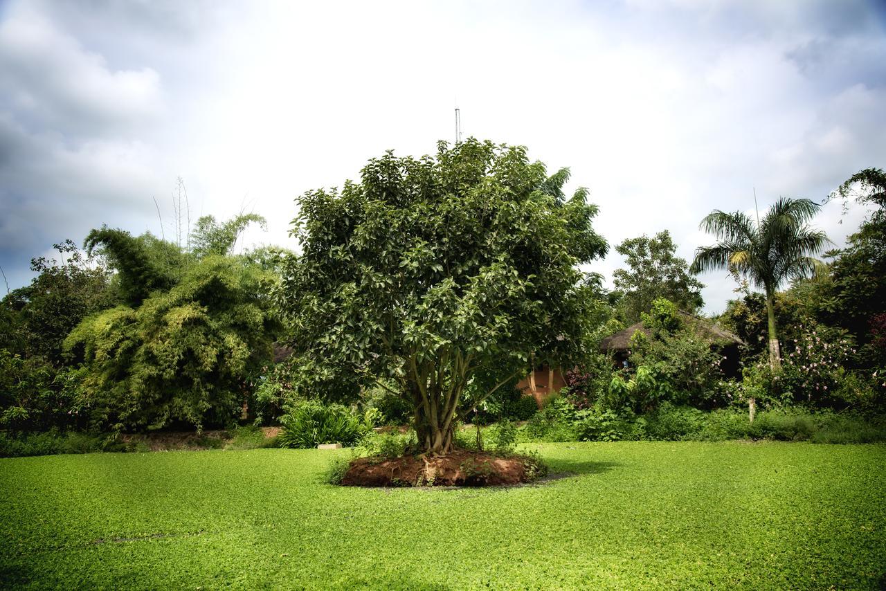 Red Earth Kabini Begūr Εξωτερικό φωτογραφία